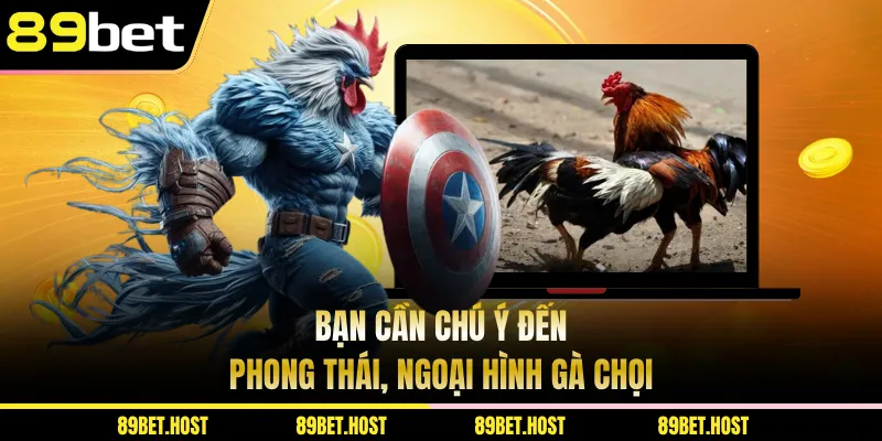 Bạn cần chú ý đến phong thái, ngoại hình gà chọi