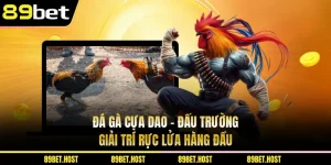 Đá Gà Cựa Dao - Đấu Trường Giải Trí Rực Lửa Hàng Đầu